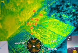  வேலுார் மாநகர தெருக்களில் நடமாடிய யானைகளால் பெண்கள் அலறி ஓட்டம்