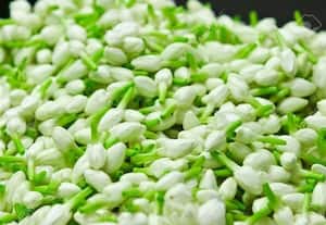  மல்லிகை கிலோ ரூ.10,000 வரலாற்றில் உச்சபட்ச விலை