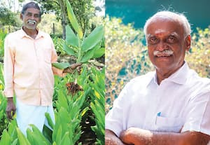  இயற்கை விவசாயத்தில் மஞ்சள் பயிரிட்டால் இரட்டிப்பு லாபம்!: இறுதி மூச்சு இருக்கும் வரை இந்த சேவையை தொடர்வேன்!