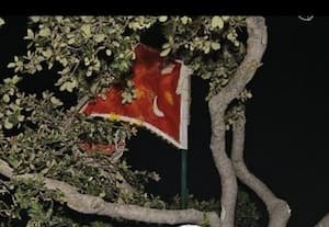  திருப்பரங்குன்றம் கோவில் தல விருட்சமான கல்லத்தி மரத்தில் முஸ்லிம் பிறை கொடி 