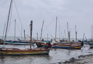  மீனவர்கள் கடலுக்கு செல்ல தடை 