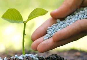  'அனைத்து உரங்களுக்கும் 5 சதவிகிதம் ஜி.எஸ்.டி., வேண்டும்'