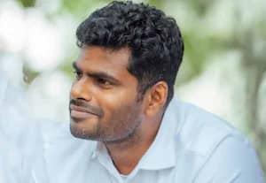 மேடை போட்டு என்னை திட்டும் அளவிற்கு வளர்ந்துள்ளேன்: அண்ணாமலை பேட்டி