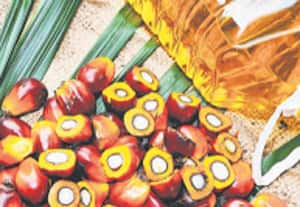  பாமாயில் இறக்குமதி டிசம்பரில் 20% குறைவு