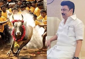 ஜல்லிக்கட்டு பார்க்க 17ல் மதுரை செல்கிறார் ஸ்டாலின்