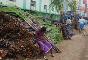  முதுகுளத்துாரில் பொங்கல் கரும்பு விற்பனைக்கு குவிப்பு
