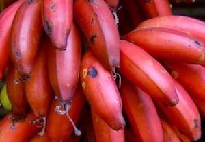  வாழைப்பழங்கள் விலை கடும் உயர்வு