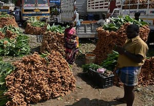  பொங்கல் சிறப்பு சந்தை காய்கறி வரத்து அதிகரிப்பு