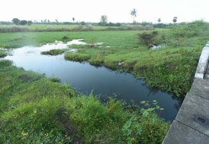 நீர்நிலைகள் பராமரிப்பில் வனத்துறை பங்களிப்பு அவசியம்;  மாநில திட்டக்குழு பரிந்துரை