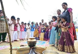  பொங்கலோ பொங்கல்; பள்ளிகளில் உற்சாக கொண்டாட்டம்