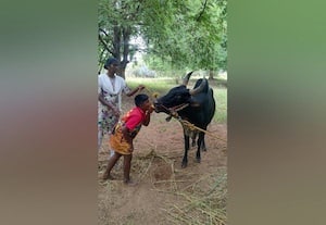  களத்தில் காட்டுவது ரோஷம் குழந்தைகளிடமோ பாசம் செஞ்சுரி அடிப்பாரா பாலமேடு அழகர்