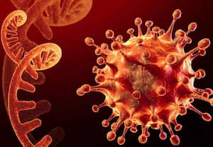  'நிபா' வைரஸ் பாதித்த இரு நர்ஸ்கள் கவலைக்கிடம்