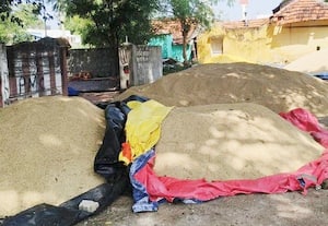 தை பிறந்தும் வழி பிறக்கவில்லையே என விவசாயிகள்  ﻿ஏக்கம் l கொள்முதல் நிலையம் திறக்க தாமதத்தால் விரக்தி