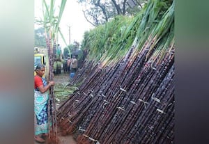  பொங்கல் பண்டிகையால் கடைவீதி பஜார்களில் அலைமோதிய மக்கள்