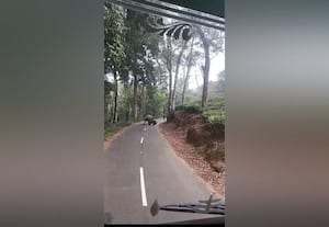  யானையிடம் இருந்து தப்பிய இருவர் குரங்குமுடி ரோட்டில் திக்திக் பயணம்