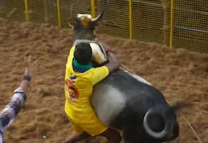 துள்ளிக்குதித்து திமிறி ஓடும் காளைகள்; அவனியாபுரத்தில் துவங்கியது ஜல்லிக்கட்டு