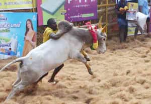 பாலமேடு ஜல்லிக்கட்டு நிறைவு: முதலிடம் பிடித்த அஜித்துக்கு கார் பரிசு