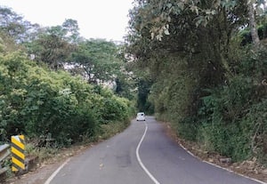  நெடுஞ்சாலைத்துறை ரோட்டை ஆக்கிரமிக்கும் செடிகள்