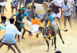 மல்லுக்கட்டிய வீரர்களை மண்டியிட வைத்த காளைகள்