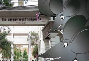 கோவை அரசு மருத்துவமனையில் முகத்தில் ஏறி விளையாடும் எலிகள்; இரவில் துாக்கத்தை தொலைக்கும் நோயாளிகள்