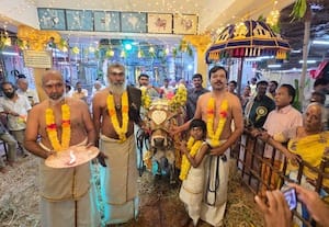  பட்டத்து காளைக்கு அபிஷேக ஆராதனை பசுக்களுக்கு உணவளித்து மகிழ்ந்த பக்தர்கள்