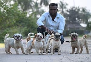  'வாங்க பாஸ்...' சம்பாதிப்பது ஈஸி!