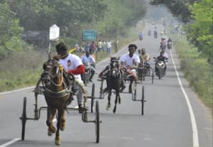  திருவாலங்காடில் களைகட்டிய ரேக்ளா குதிரை பந்தய போட்டி