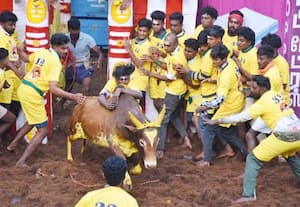 மிரள விடும் காளைகள்... மல்லுக்கட்டும் வீரர்கள்; அனல் பறக்கும் அலங்காநல்லூர் ஜல்லிக்கட்டு