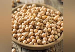  அமெரிக்க மஞ்சள் பட்டாணி வரி இந்தியா குறைக்க வலியுறுத்தல்