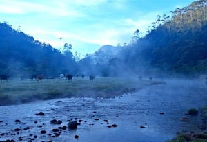 மூணாறில் வாட்டியது குளிர்