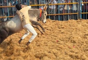  ஆவாரங்காடு ஜல்லிக்கட்டில் 40 பேர் காயமடைந்தனர்