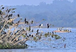  ஊசுட்டேரியில் மீண்டும் படகு சவாரி துவங்கியது