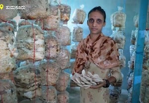  வீட்டிலேயே காளான் வளர்த்து வருமானம் ஈட்டும் கங்க லட்சுமம்மா