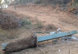  கம்பி வேலியாவது ஒன்னாவது... பலம் காண்பித்த காட்டு யானைகள்