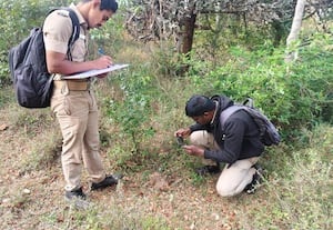  நத்தம் பகுதிகளில் புலிகள் கணக்கெடுப்பு