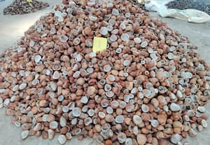  விற்பனை கூடத்தில் கொப்பரை ஏலம் கிலோ ரூ.189க்கு விற்பனை