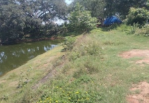  சிவன்கோவில் குளத்தை சுற்றி நடைபாதையுடன் பூங்கா அமைக்க கோரிக்கை