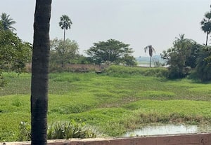  இளநீர் குளத்தை சீரமைக்க பக்தர்கள் வேண்டுகோள்