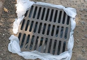 நுாதன முயற்சியில் சென்னை மாநகராட்சி... காலவாய்ககு கொசு வலை!:  'லார்வா' நிலையிலேயே ஒழிக்க திட்டமாம்?