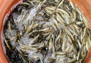  ஒரு படி அயிரை மீன் ரூ.2 ஆயிரம் முன்பதிவு செய்யும் மீன் பிரியர்கள்