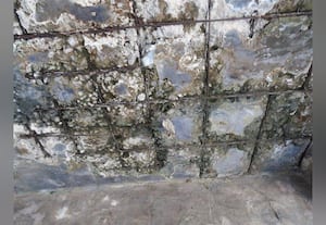  கான்கிரீட் பெயர்ந்த நிழற்குடை விபத்து அபாயத்தில் பயணியர்