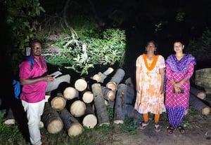  அனுமதியின்றி வெட்டப்பட்ட பனை மரங்கள் ஊராட்சி அலுவலகத்தில் ஒப்படைப்பு