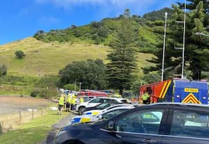 நியூசிலாந்தில் பயங்கர நிலச்சரிவு; சுற்றுலாப் பயணிகள் மண்ணுக்குள் சிக்கி மாயம்