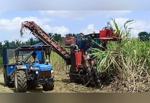  திருப்பாச்சேத்தியில் கரும்பு அறுவடைக்கு கூடுதல் இயந்திரங்கள்: விவசாயிகள் மகிழ்ச்சி