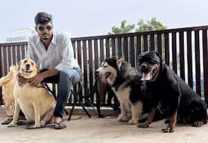  'வாடகை செல்லம்' வரும் உங்கள் இல்லம்!