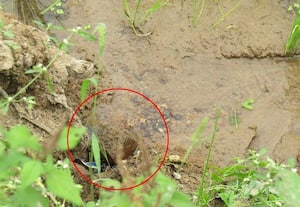  குழாயில் உடைப்பு கூத்திரமேடில் வீணாகும் குடிநீர்