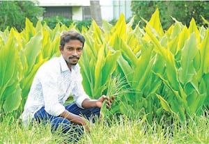  விவசாயம் செய்ய இளைஞர்கள் முன் வரணும்!