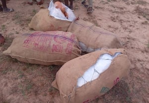  கடற்கரையில் பதுக்கிய ரூ.1 கோடி கஞ்சா பறிமுதல்