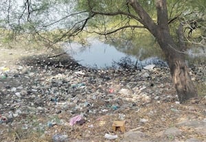  குப்பையால் சீரழியும் குளம்: ஊராட்சி நிர்வாகம் 'சைலன்ட்'