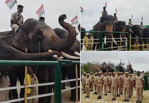 முதுமலையில் குடியரசு தின விழா; அணிவகுத்த வளர்ப்பு யானைகள்